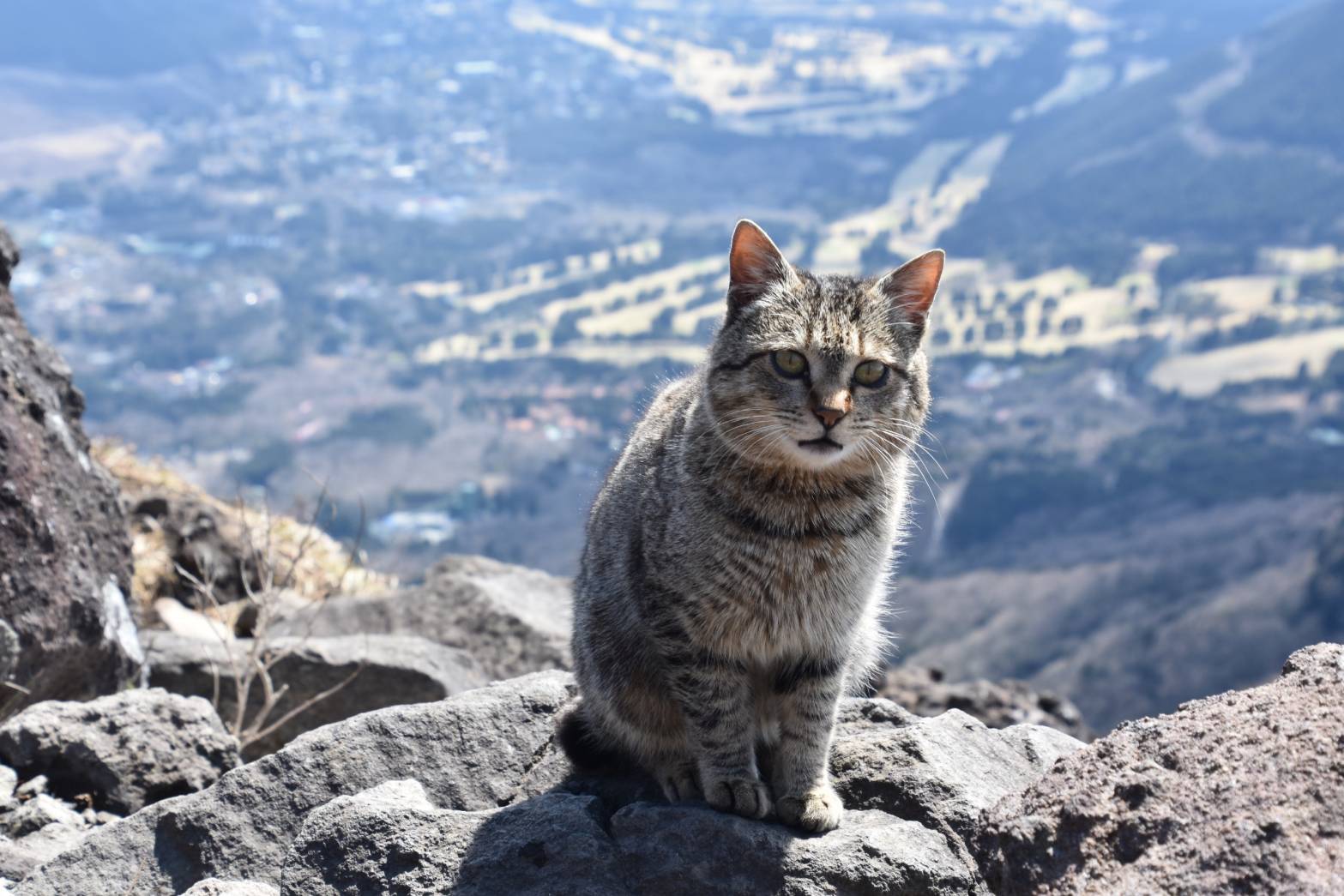 社会人サークル、エミシア、趣味サークル、登山、emicia